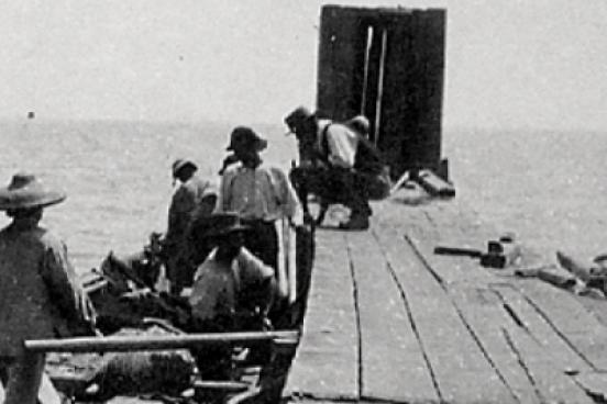 Chinese immigrants