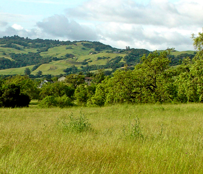 hills of Sonoma County