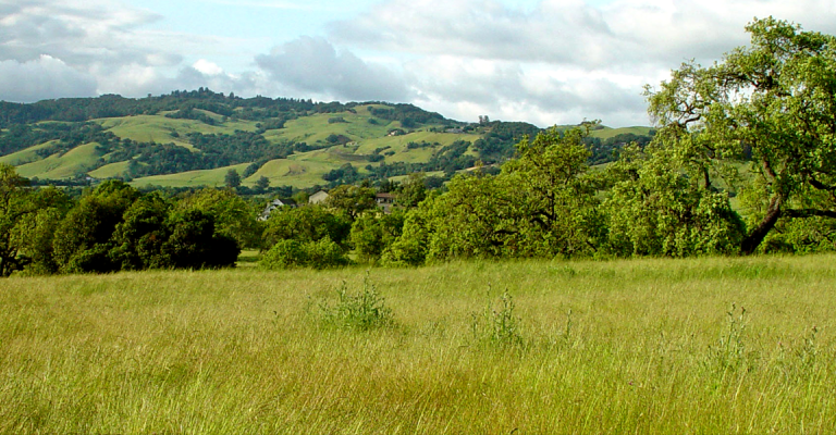 hills of Sonoma County